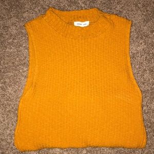 Silence + Noise Burnt Sienna Tank Top Sweater Crop